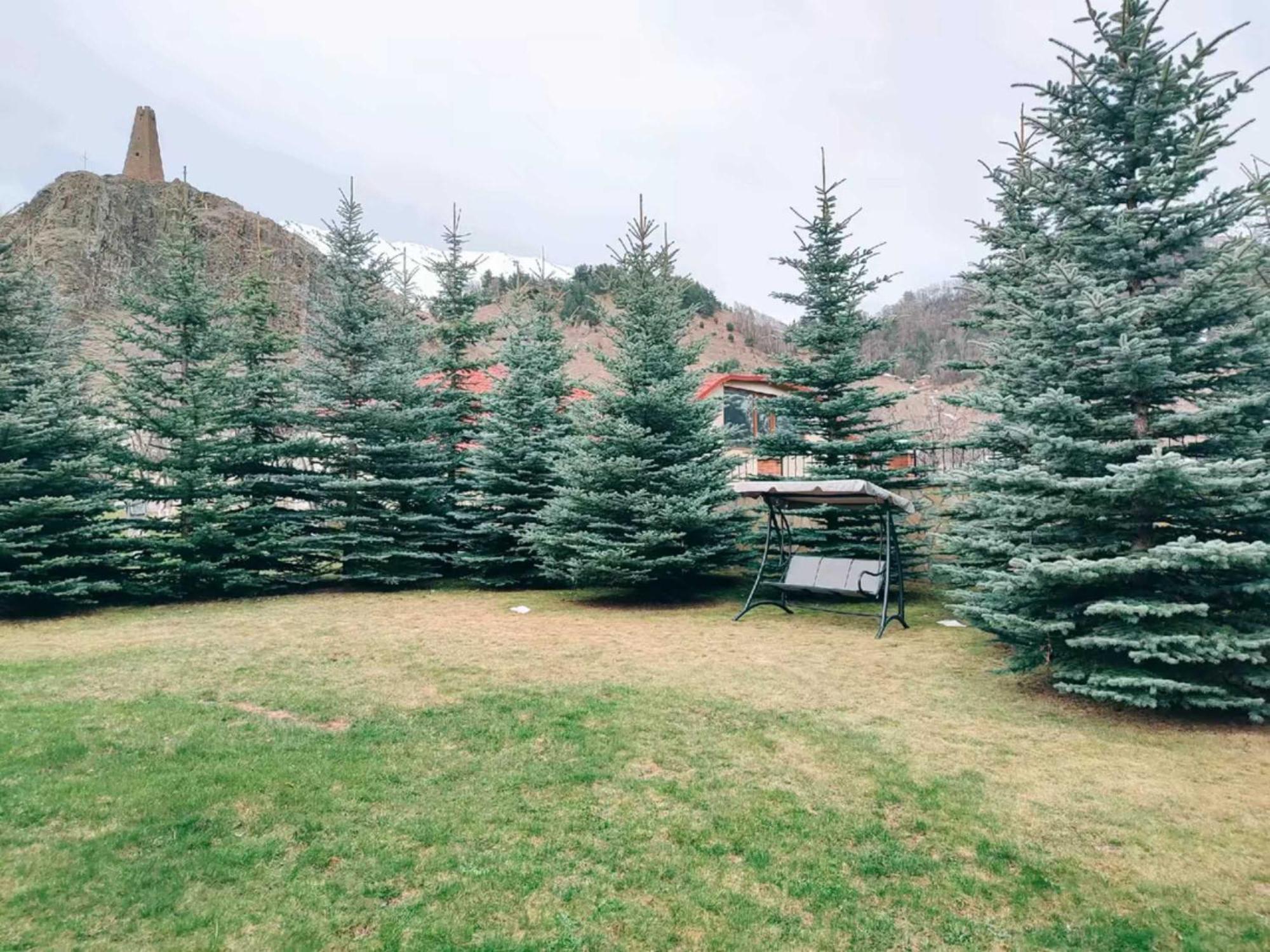 Vardisubani Villa Казбеги Екстериор снимка