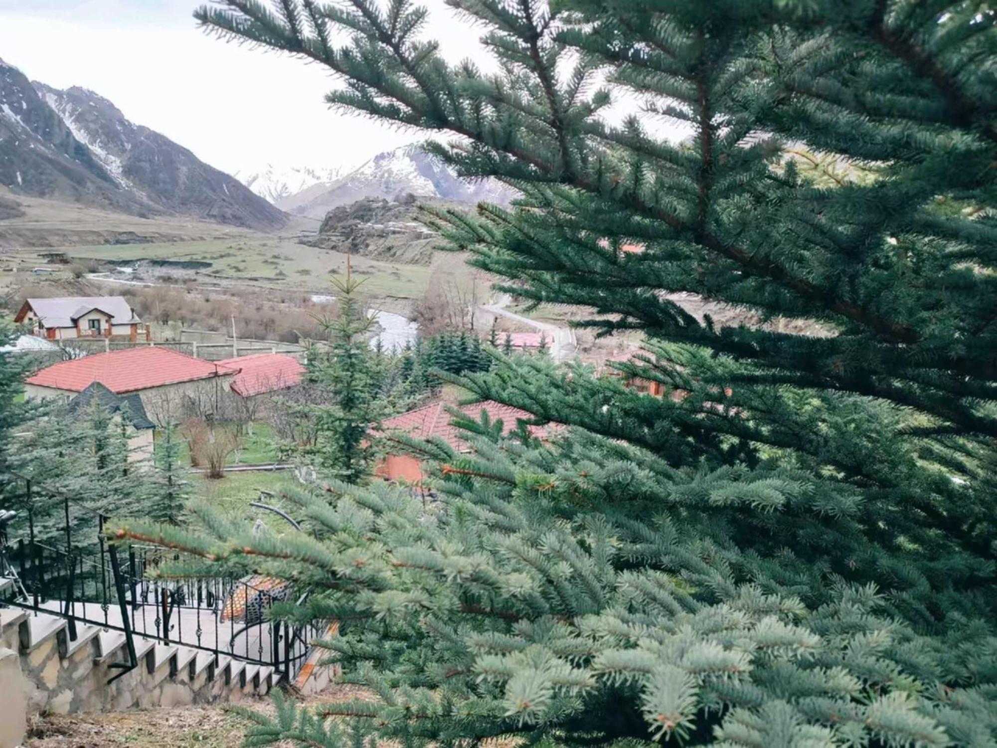 Vardisubani Villa Казбеги Екстериор снимка