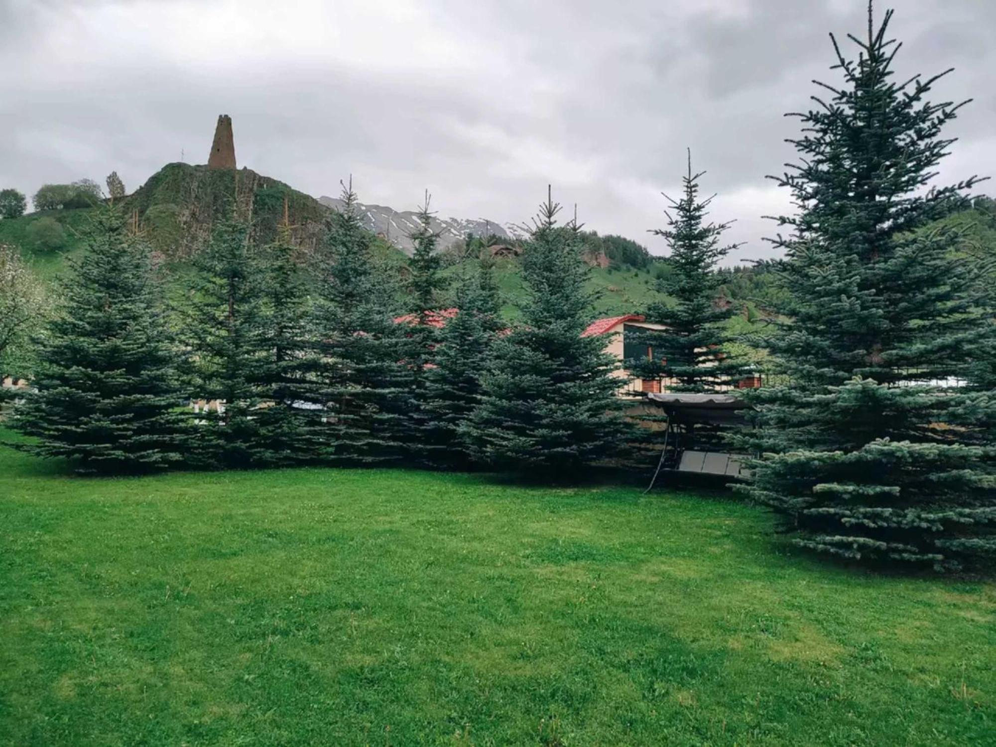 Vardisubani Villa Казбеги Екстериор снимка
