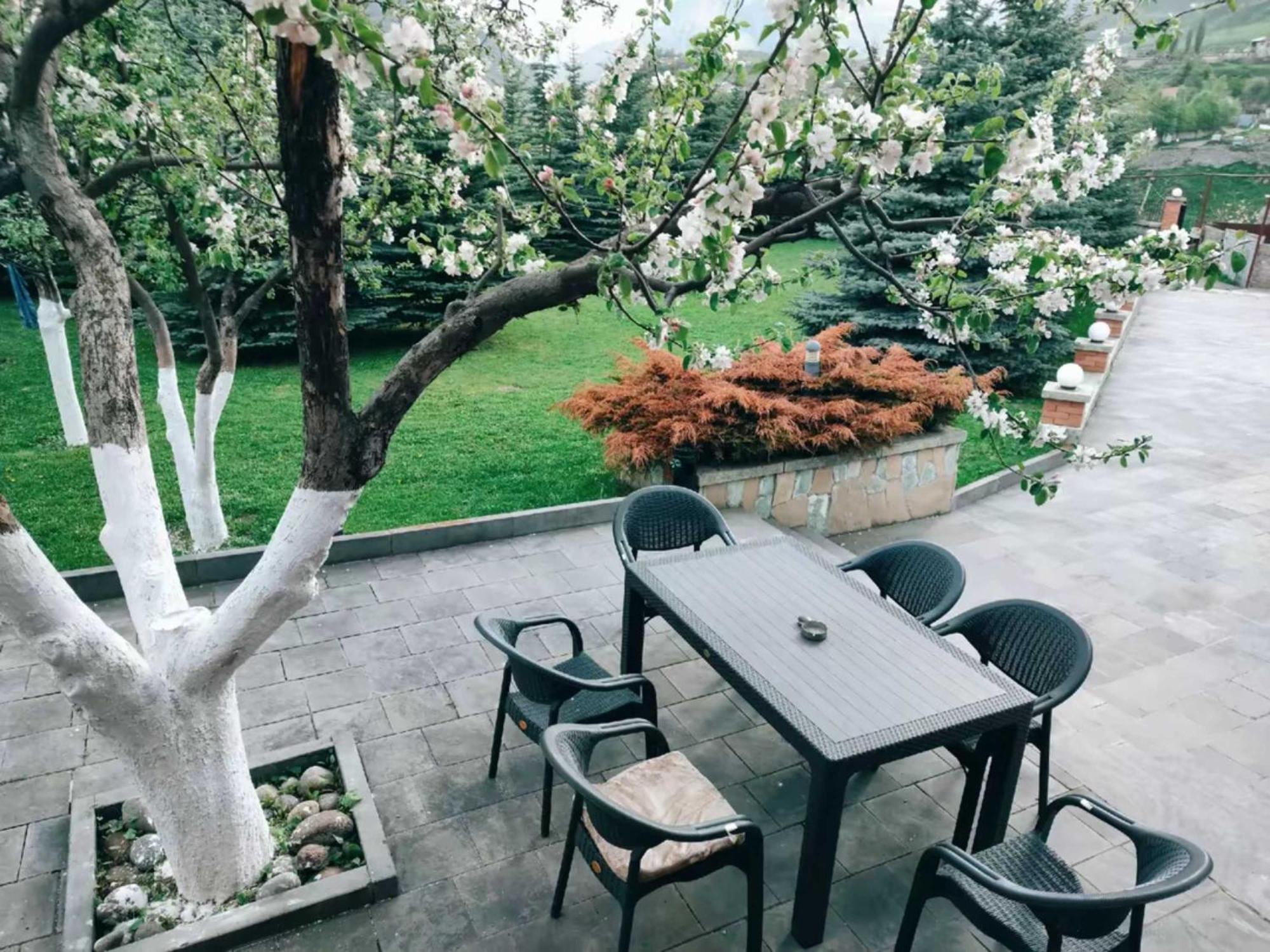 Vardisubani Villa Казбеги Екстериор снимка