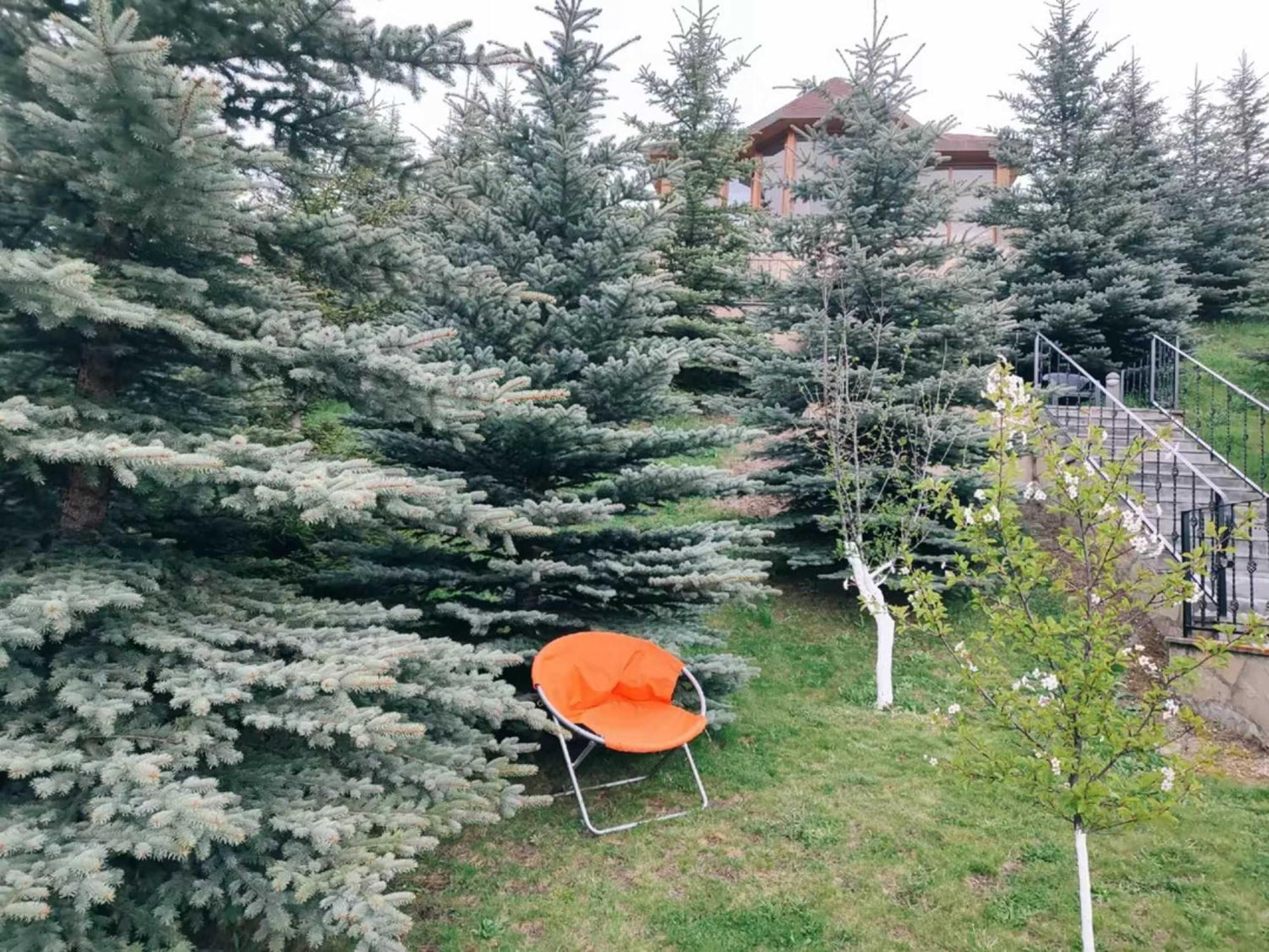 Vardisubani Villa Казбеги Екстериор снимка